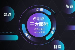 智鵲網 定制專屬微表單，助力企業完成精準營銷