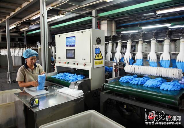 產學研一體化為翼，丁腈手套海外市場熱銷調查